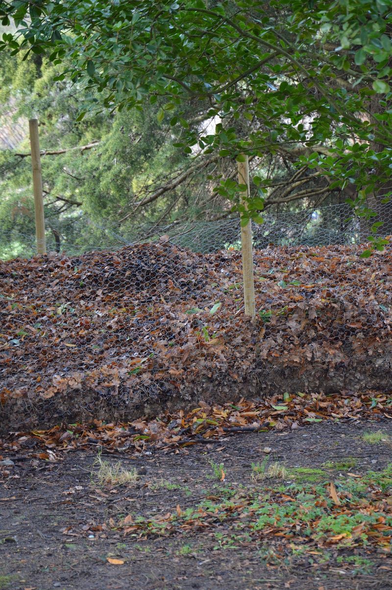 dsc-0933-bladaarde-hoop-compost-ig.jpg