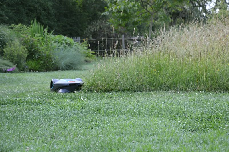 dsc-0986-gazon-lang-gras-robot-fb.jpg