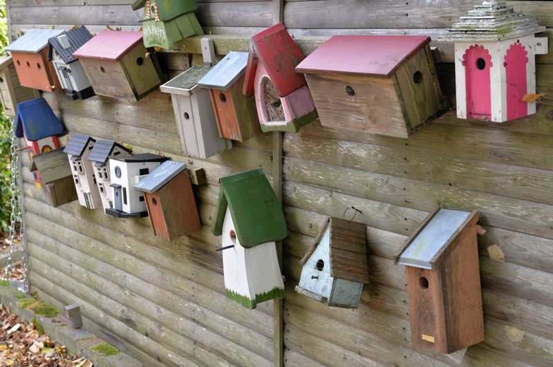 dsc-1356-vogels-huisjes-kinderen-natuur-website.jpg